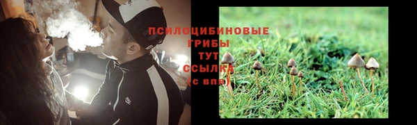 MDMA Горнозаводск