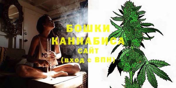 прущие грибы Вязьма